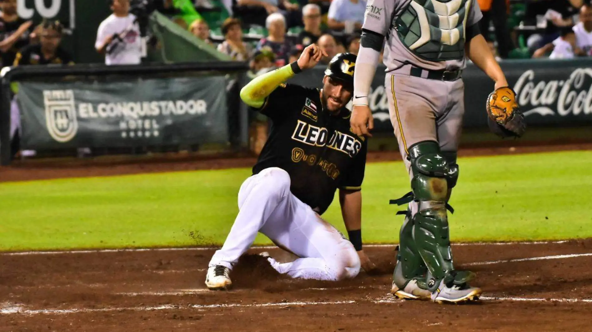 Pericos vs Leones